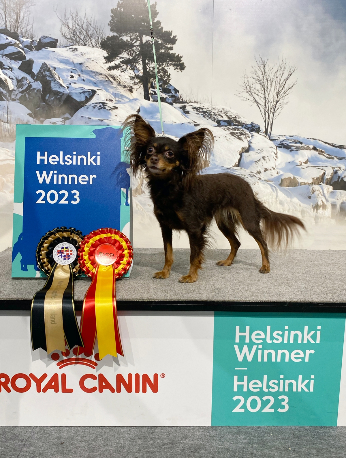 Helsinki Winner-23